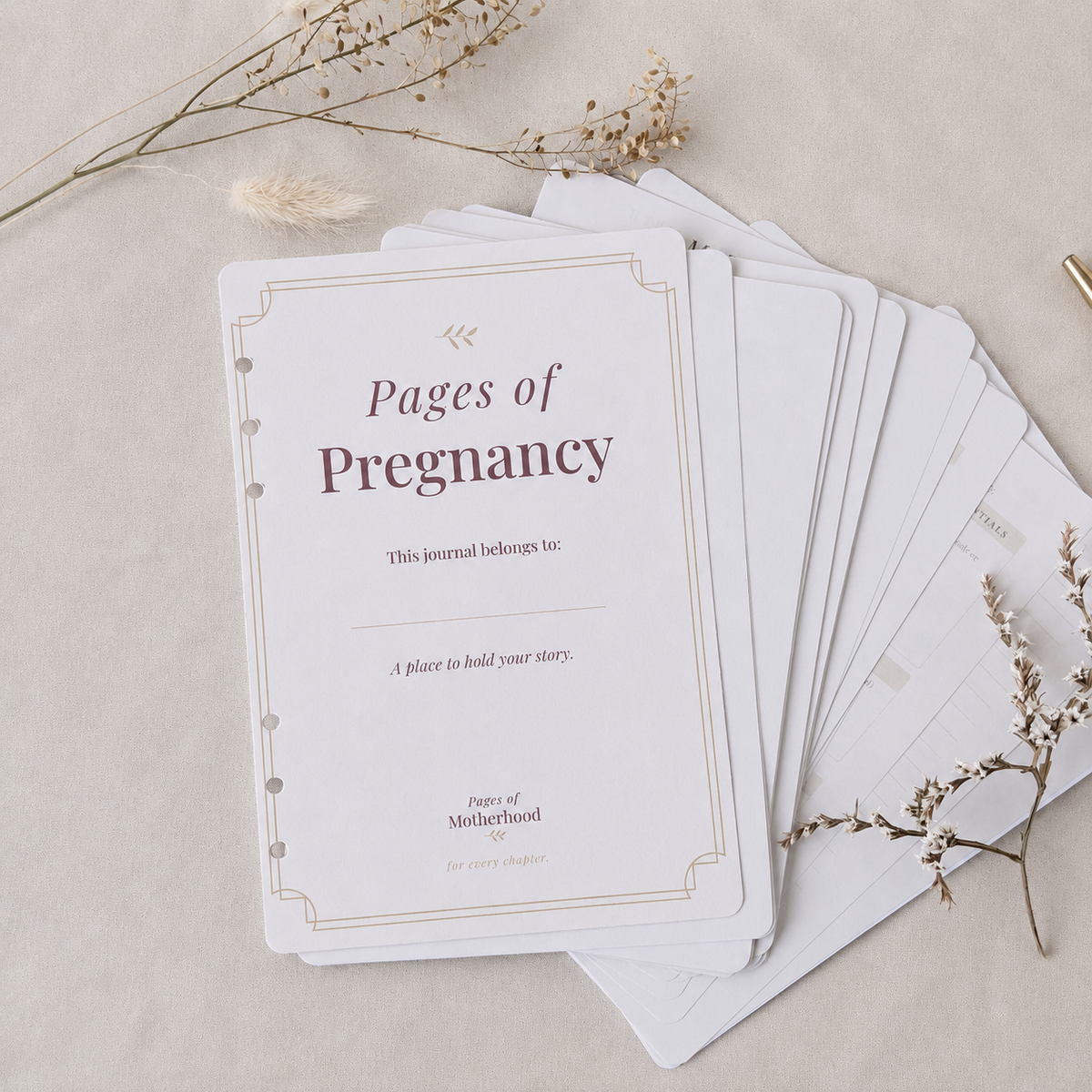 Pages of Pregnancy | Inserts Only