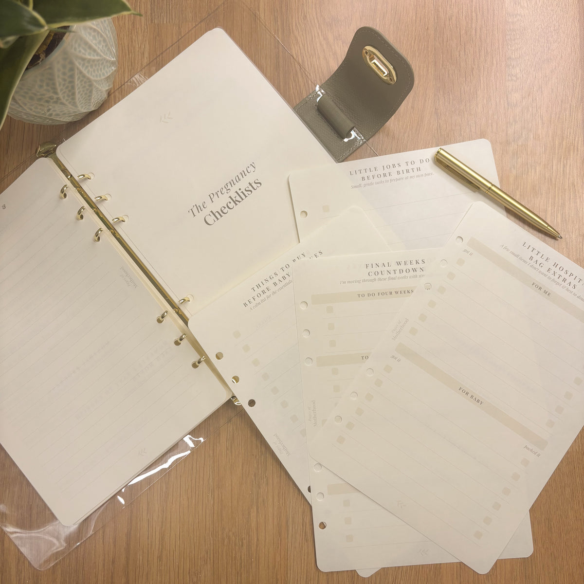 The Pregnancy Checklists