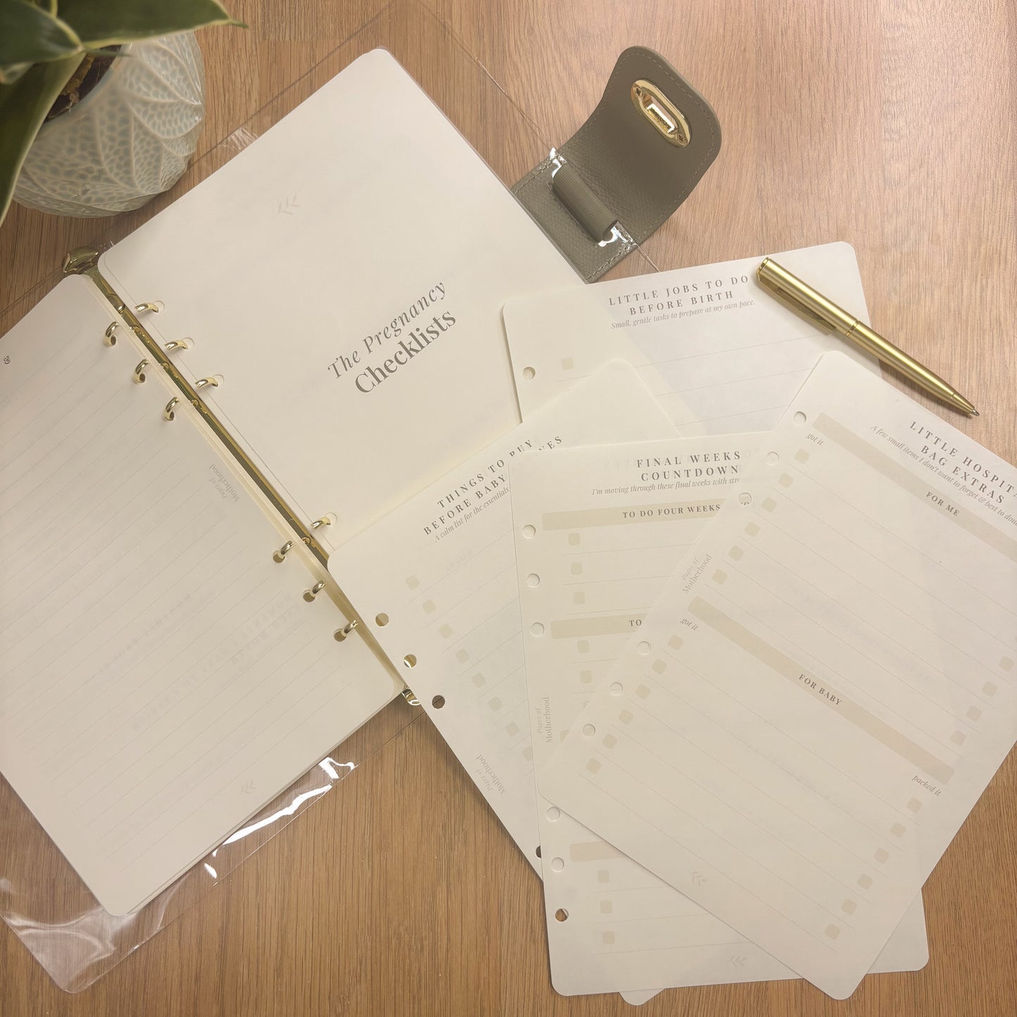 The Pregnancy Checklists