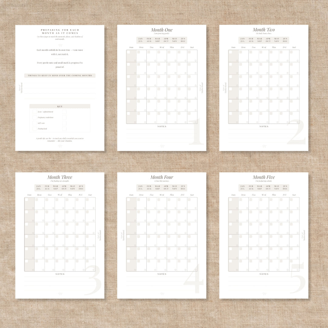 flatlay montly layout inserts pages