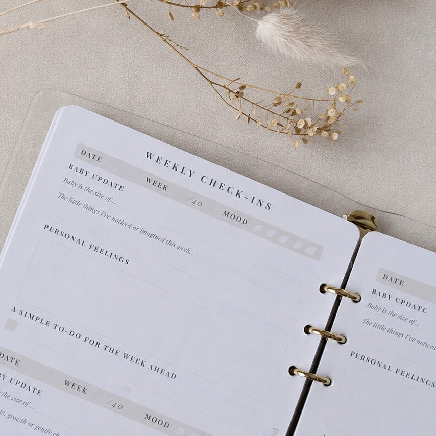 Pregnancy journal weekly check-in pages for tracking baby updates, personal feelings, wellbeing and plans throughout pregnancy.